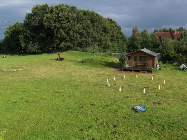 Gelnde Hundeschule